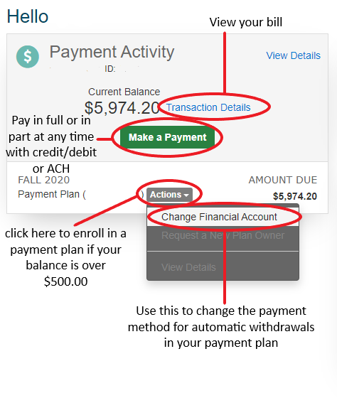 nelnet change auto debit amount